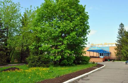 Тянет почки народные средства лечения