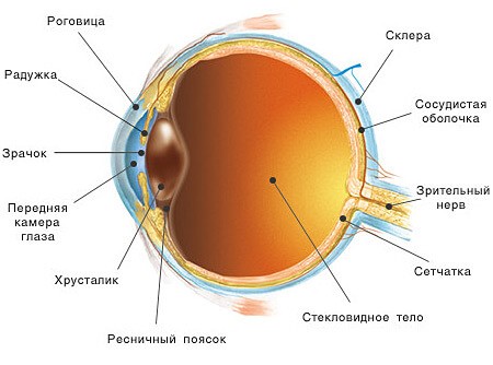 Лечение глаз